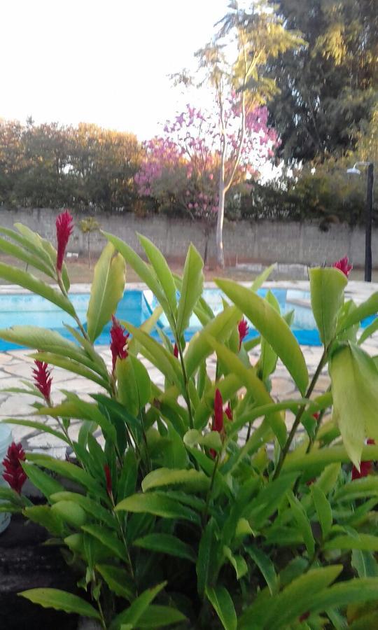 Cipo Hostel Serra do Cipo National Park Ngoại thất bức ảnh